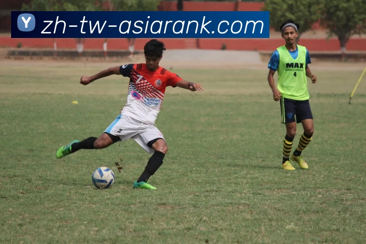 亚洲博彩官网平台生态图